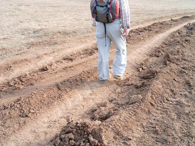 2010.03.20 097.jpg